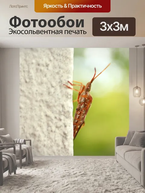 Фотообои Журнал черепашка