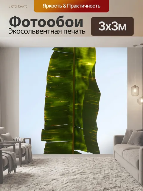 Фотообои Пальма