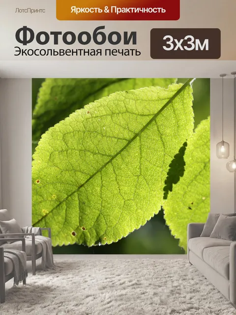 Фотообои Сливы лист