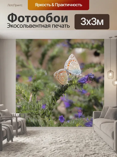 Фотообои Бабочки