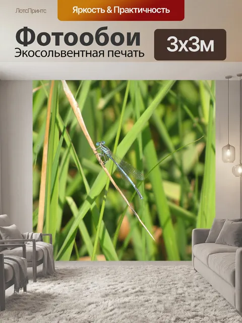 Фотообои Стрекоза