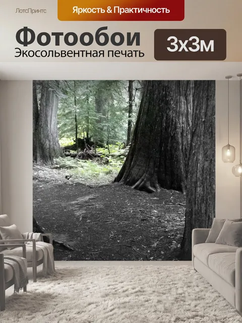 Фотообои Лес