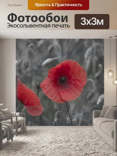 Фотообои Мак цветок