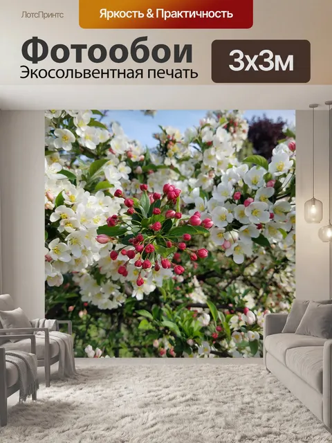 Фотообои Цветы