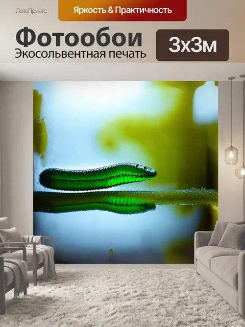 Фотообои пиявка медленно ползет по гладкой поверхности стекла, ее тело изумрудно-зеленого цвета переливается на свету