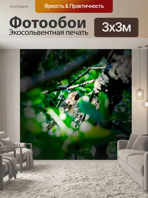 Фотообои Птица