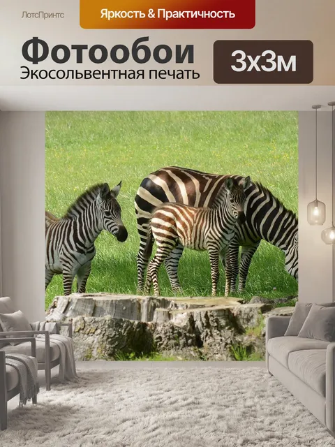 Фотообои Зебра