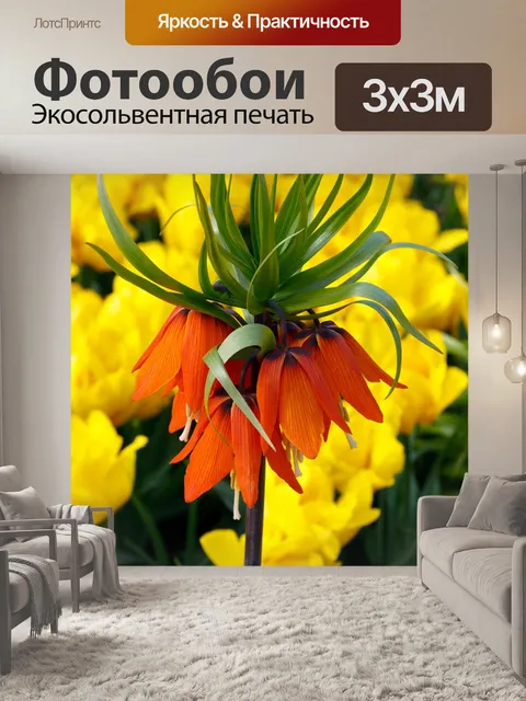 Фотообои Апельсин
