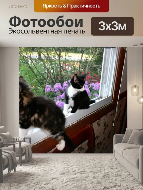 Фотообои Котята в окне