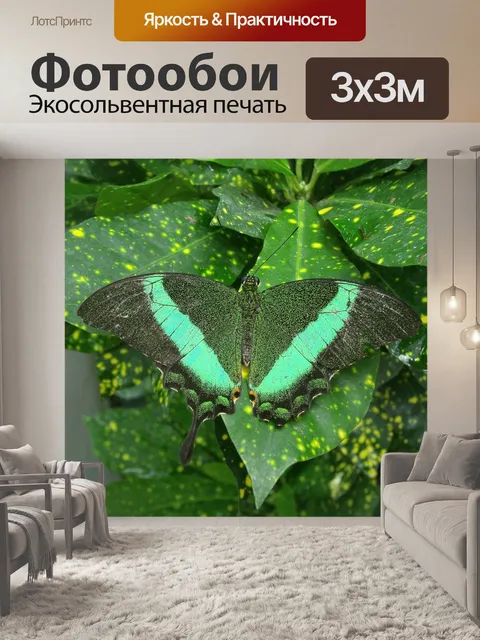 Фотообои Бабочка