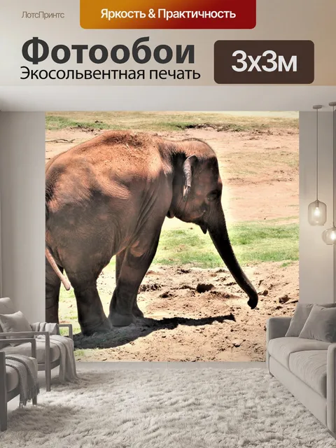 Фотообои Детский азиатский слон в песке