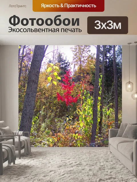 Фотообои Маленький красный дерево клена в Вудс