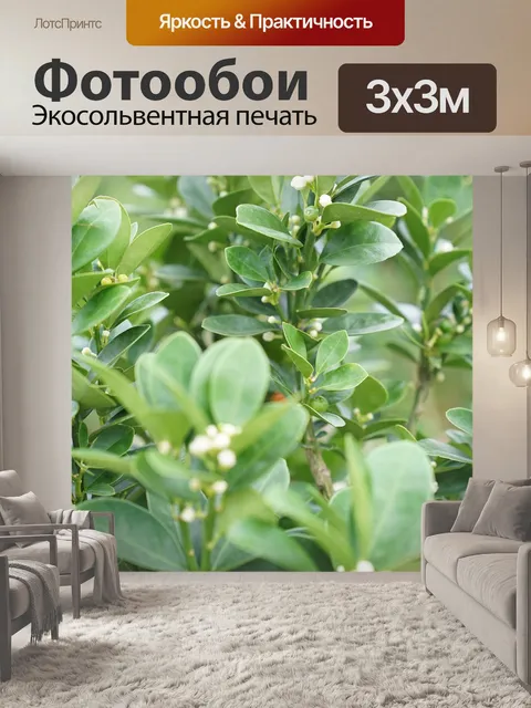 Фотообои Цветение