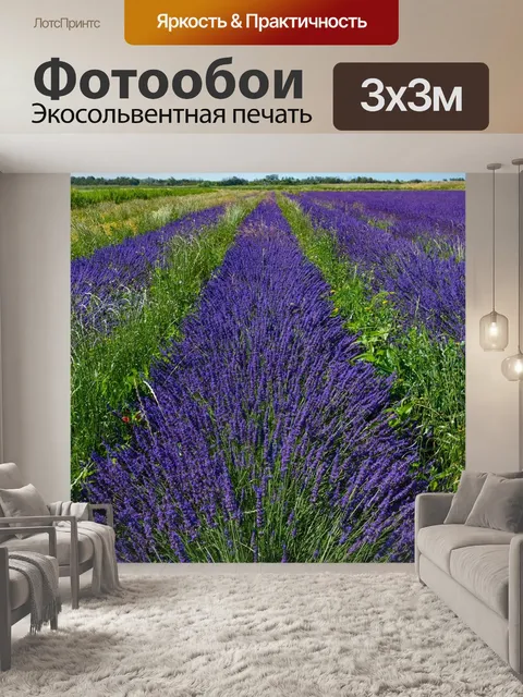 Фотообои Лаванда