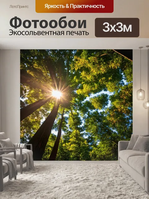 Фотообои солнечные лучи сквозь кроны деревьев в лесу