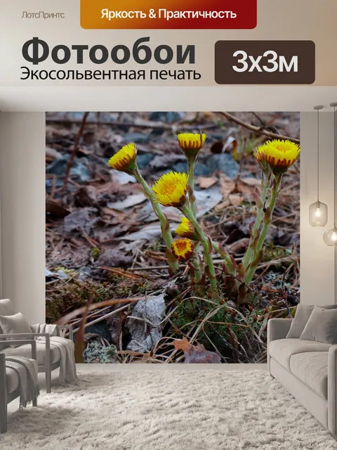 Фотообои Вдовий лист