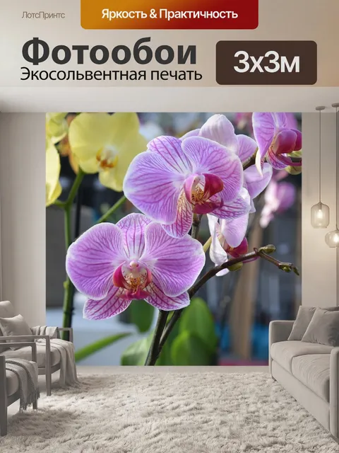 Фотообои Орхидеи
