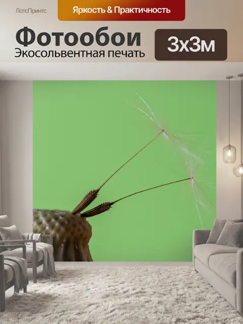 Фотообои Торс одуванчиков