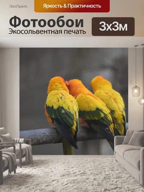 Фотообои Попугаи