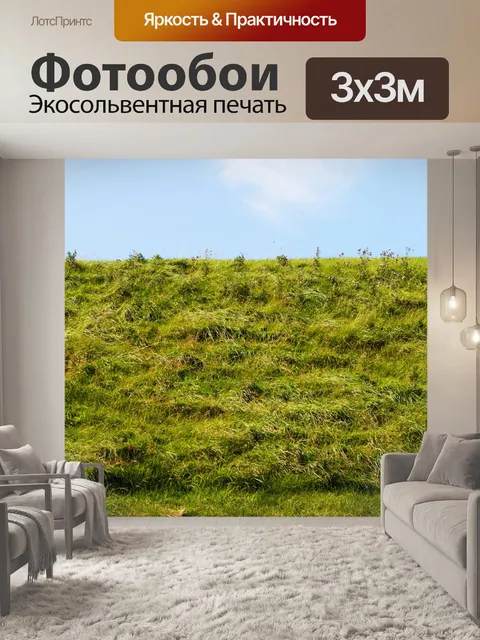 Фотообои Трава банк Blue Sky