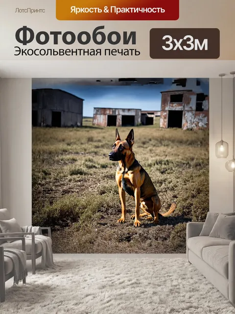 Фотообои на брошенной ферме в разрушающемся антураже