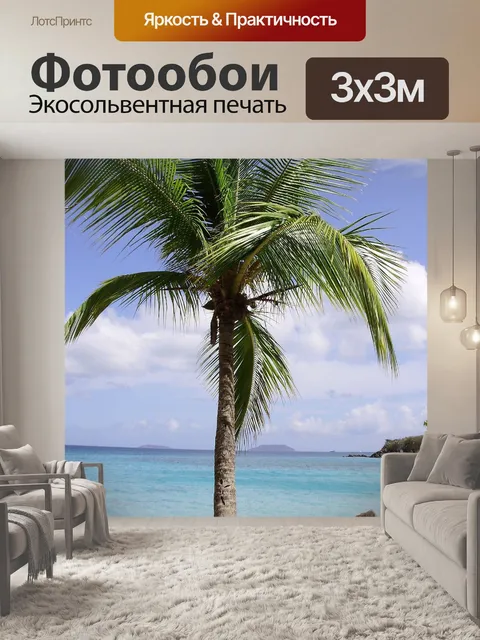 Фотообои Пальма