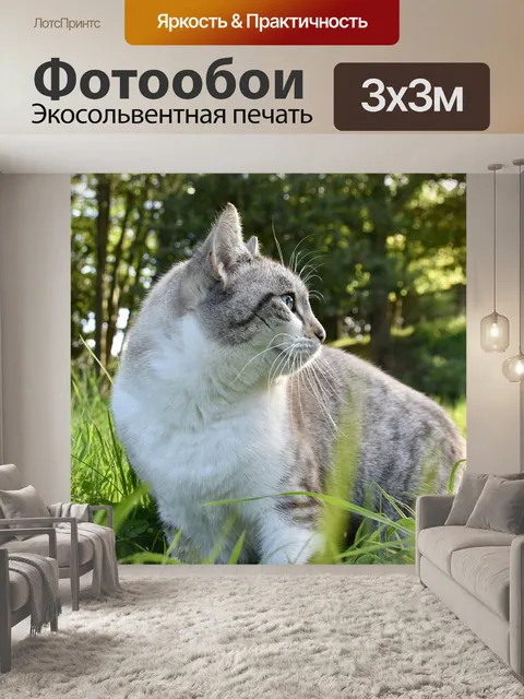 Фотообои Кошка