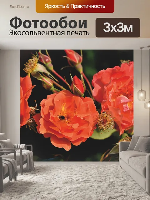 Фотообои Розы