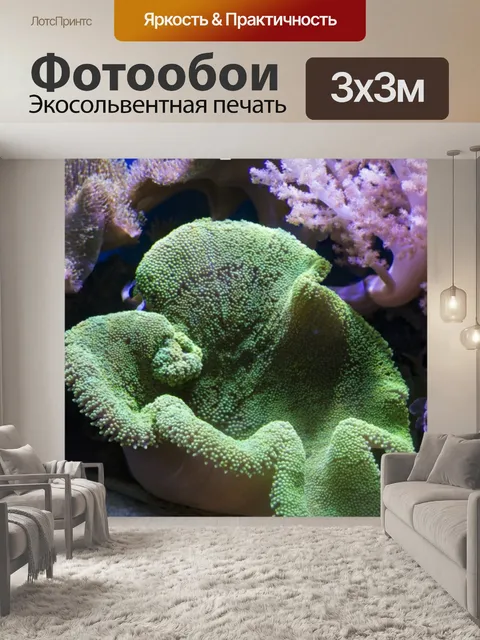 Фотообои Сцены из коралловых рифов