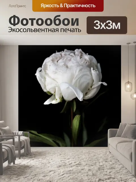 Фотообои Темный