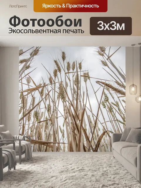Фотообои Золотое пшеничное поле и солнечный день