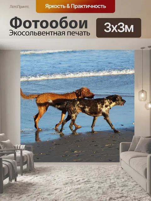 Фотообои Собаки на пляже