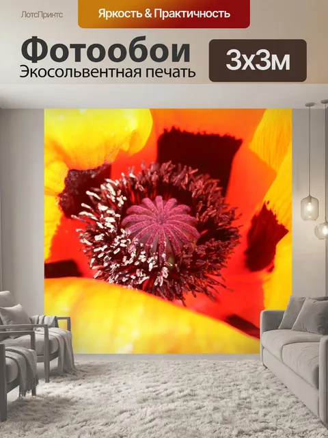 Фотообои Мак