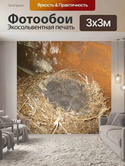 Фотообои Птичье гнездо