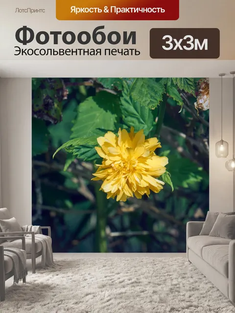 Фотообои Желтый цветок, Корет Японии