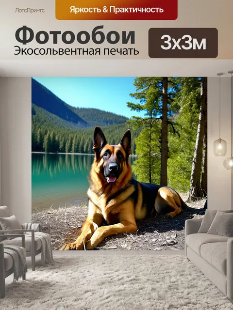 Фотообои изображение немецкой овчарки, лежащей в тени деревьев на горном озере