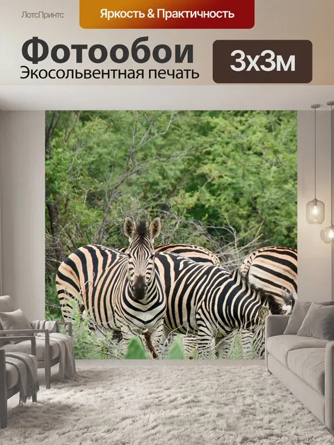 Фотообои несколько зебр, стоящих в зеленом кусте