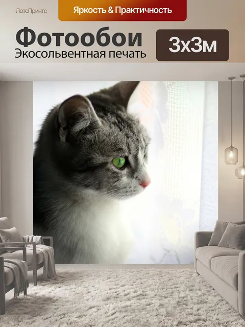 Фотообои Кот