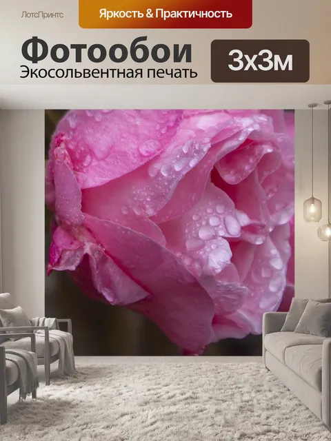 Фотообои Роза