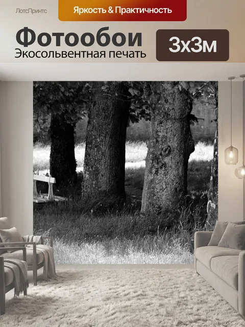 Фотообои Скамейка