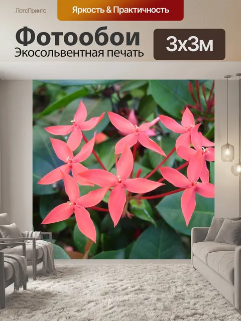 Фотообои Цветы