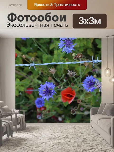 Фотообои Полевые цветы Красный мак Фиолетовый