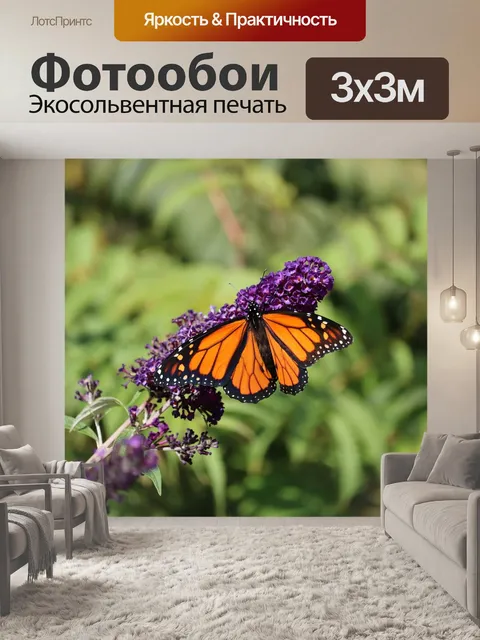 Фотообои Бабочка