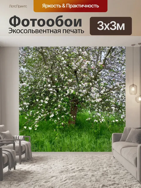 Фотообои Вишневое дерево сакура весна