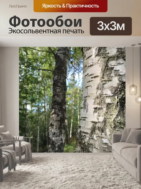 Фотообои Лес