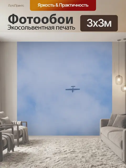 Фотообои Самолет в небе