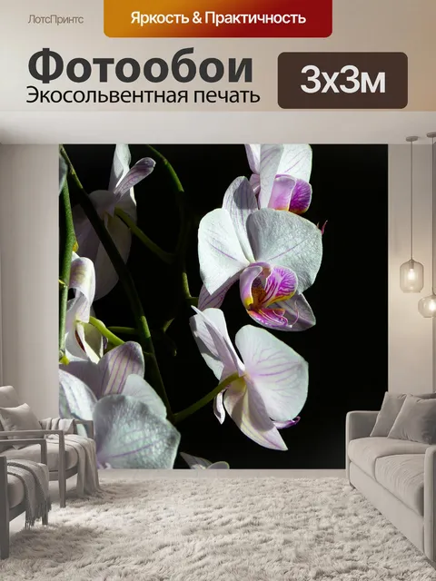 Фотообои Орхидея
