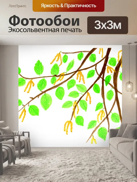 Фотообои Береза