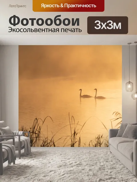 Фотообои Лебеди на озере мисти