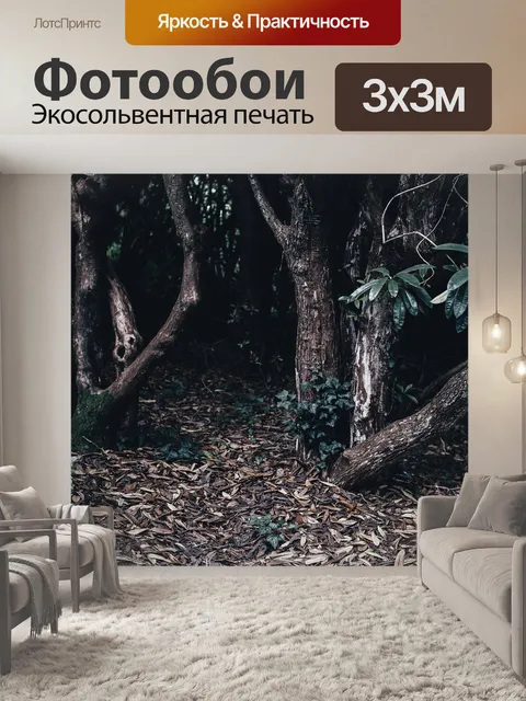 Фотообои Темный